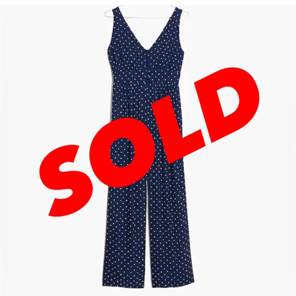 Madewell Polka Dot Jumpsuit in Indigo Navy (V-Back-Wide Leg)
